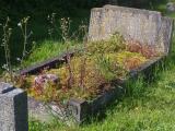 image of grave number 954001